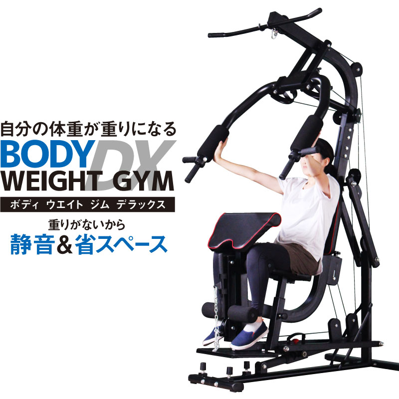 ホームジム マルチ トレーニング 器具 セット 総合 大型 ワイヤー式 マシン 重りの無い静音設計 BODY WEIGHT GYM DX  LS-SA-690 | スポーツ・トレーニンググッズ,総合トレーニング器具 | ライシン（本店）