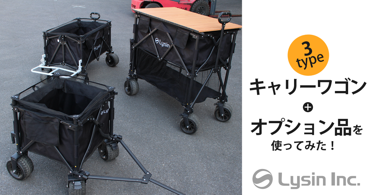 ライシン ～スタッフレビュー キャリーワゴン3種類とオプション品を